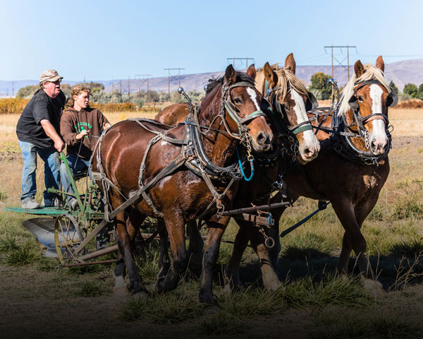 Agri-copia an Agricultural Event - Union Gap, WA